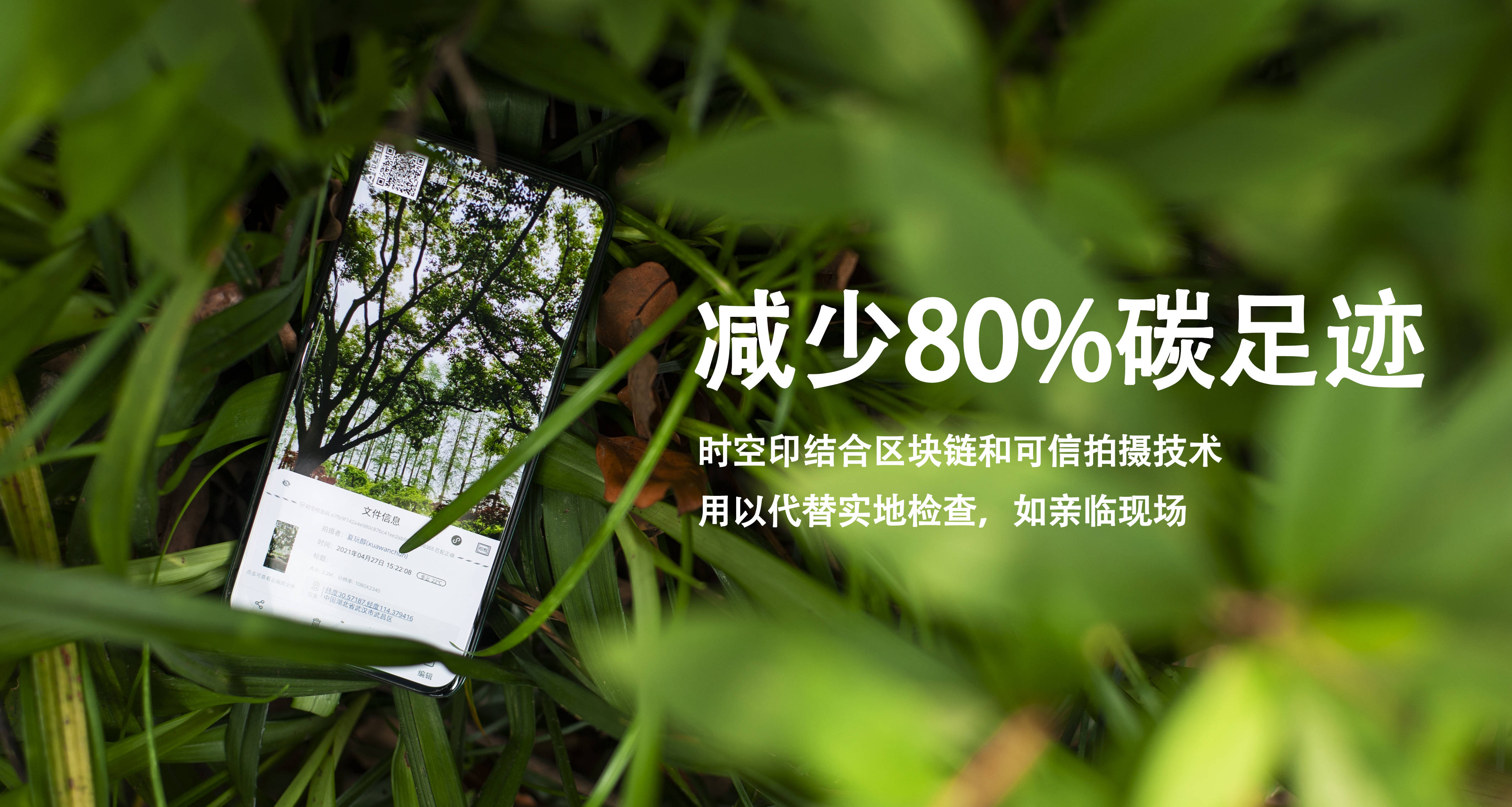 环保足球：球场如何减少碳足迹？