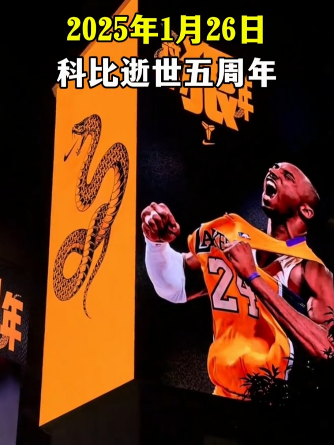 科比81分17周年，布克致敬单场60+