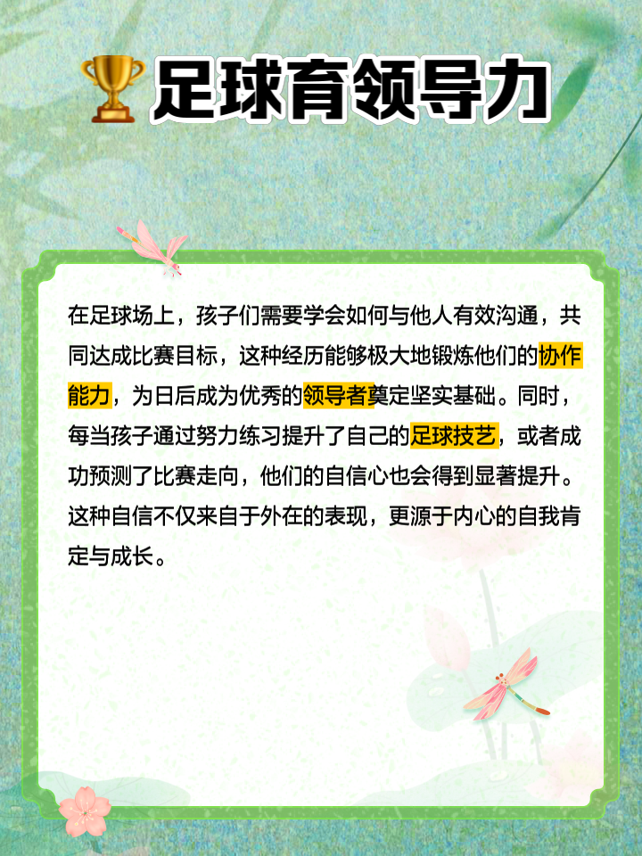 “青少年踢足球的益处，身体与心理的双重促进！”的简单介绍