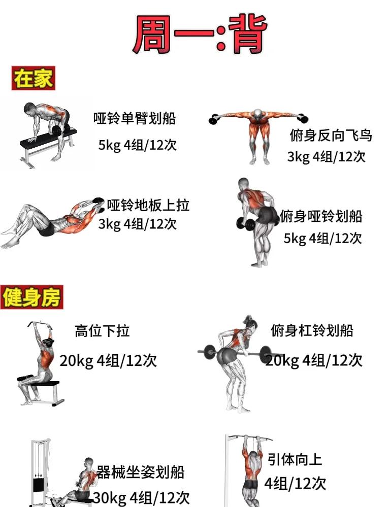 华体会在线下载-关于“健身大师分享：如何设定有效的训练计划！”的信息