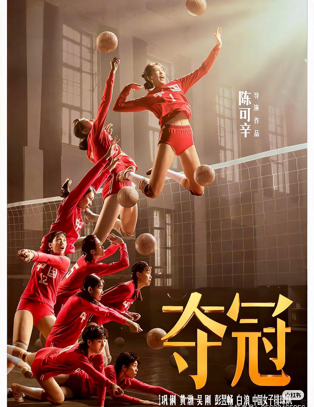 华体会app注册-“排球世界杯：中国女排重塑辉煌，夺冠之路艰辛！”